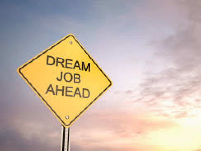 Dream Job 2