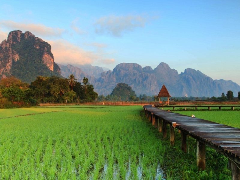 Guida Del Laos Le Risaie E La Natura