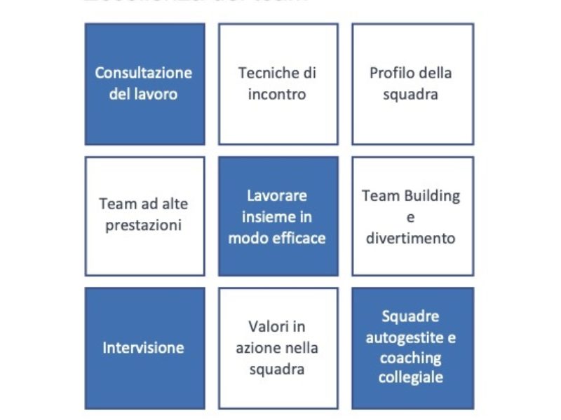 Moovs Eccellenza Del Team